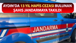 Hakkında 13 yıl hapis cezası bulunan şahıs jandarmaya takıldı