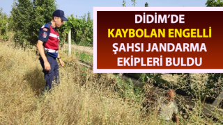 Kaybolan engelli şahsı jandarma ekipleri buldu