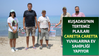 Kuşadası'nın plajları caretta caretta yuvalarına ev sahipliği yapıyor