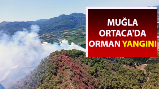 Ortaca’da orman yangını