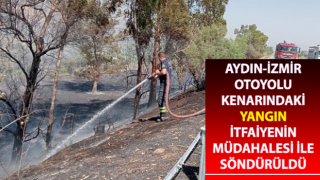 Otoyol kenarındaki yangın itfaiyenin müdahalesi ile söndürüldü