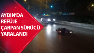 Refüje çarpan sürücü yaralandı