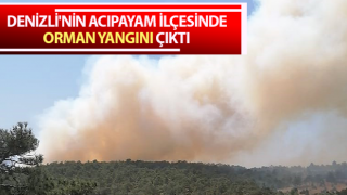 Acıpayam’da orman yangını