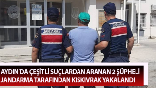 Aranan 2 şüpheli jandarma tarafından kıskıvrak yakalandı