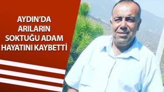 Arının soktuğu adam hayatını kaybetti