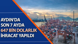 Aydın’da 647 bin dolarlık ihracat yapıldı