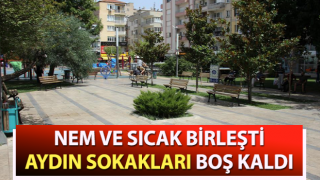 Aydın'da yüksek nem sessizliği