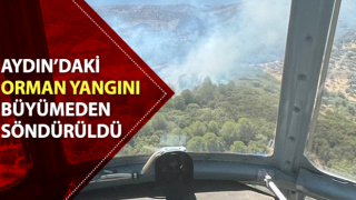 Aydın’daki orman yangını söndürüldü