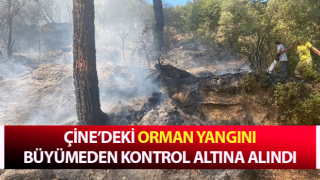 Çine’deki orman yangını kontrol altına alındı