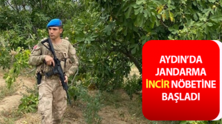 İl genelindeki incir bahçelerine şok baskınlar yapılacak