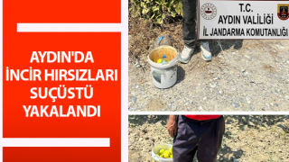 İncir hırsızlarını jandarma suçüstü yakaladı