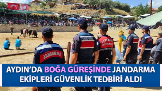 Jandarma boğa güreşinde tedbiri elden bırakmadı