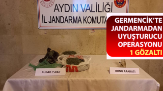 Jandarmadan uyuşturucu baskını: 1 gözaltı