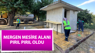 Mergen Mesire Alanı pırıl pırıl oldu