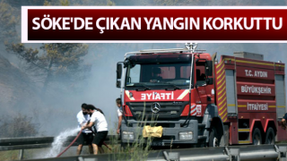 Söke'de çıkan yangın korkuttu