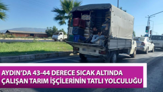 Tarım işçilerinin tatlı yolculuğu