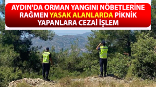 Yasaklı bölgede mangal sefası, jandarmanın radarına takıldı