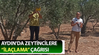 Zeytincilere “ilaçlama” çağrısı