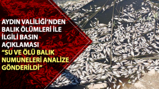 Aydın Valiliği’nden balık ölümleri ile ilgili açıklama