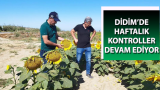 Aydın’da haftalık kontroller devam ediyor