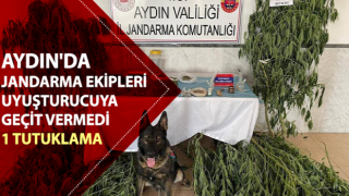 Aydın’da uyuşturcu operasyonu: 1 tutuklama