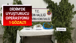 Aydın’da uyuşturucu operasyonu