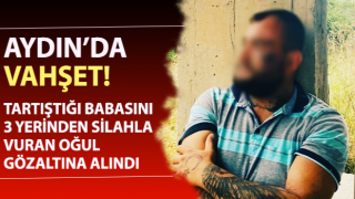 Babasını 3 el ateş ederek vuran şahıs gözaltına alındı