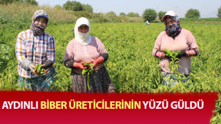 Biber, bu yıl altın yılını yaşıyor