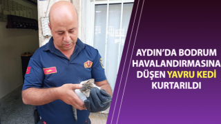 Bodrum havalandırmasına düşen yavru kediyi, itfaiye kurtardı