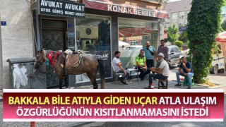 Cezalardan yılmayan atlı kovboy yeni atıyla sahnede