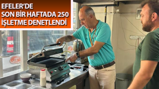 Efeler’de 250 işletme denetlendi