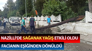 Facianın eşiğinden dönüldü