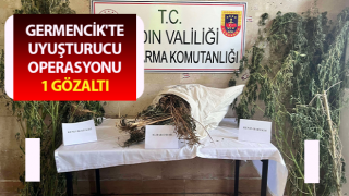 Germencik'te uyuşturucu operasyonu: 1 gözaltı