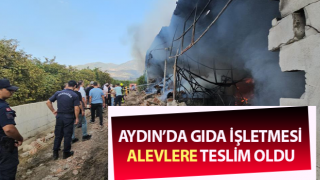 Gıda işletmesi alevlere teslim oldu