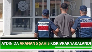 Jandarma ekipleri aranan şahıslara göz açtırmıyor