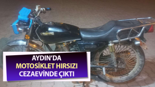 Jandarma peşini bırakmadı, çalınan motosikleti buldu