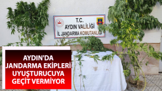 Jandarma uyuşturucuya geçit vermiyor