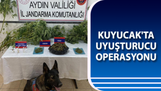 Kuyucak'ta uyuşturucu operasyonu