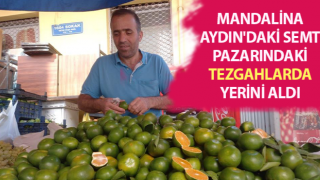 Mandalina tezgahlarda yerini aldı