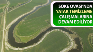 Söke Ovası’nda yatak temizleme çalışmaları sürüyor