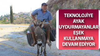 Aydın dağlarında eşekler halen revaçta