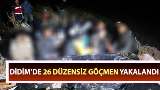 Aydın’da 26 düzensiz göçmen yakalandı