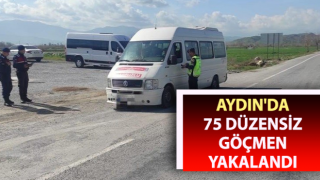 Aydın'da 75 düzensiz göçmen yakalandı