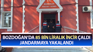 Aydın’da 85 bin liralık incir çalan hırsız yakalandı