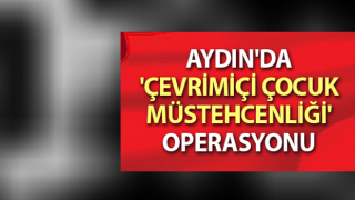 Aydın'da 'çevrimiçi çocuk müstehcenliği' operasyonu