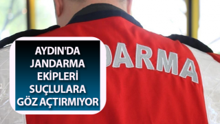 Aydın'da jandarma ekipleri göz açtırmıyor