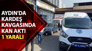 Aydın'da kardeş kavgasında kanlı bitti