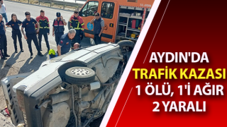 Aydın'da trafik kazası