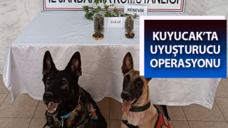 Aydın’da uyuşturucu operasyonu