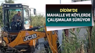 Balat Mahallesi’nde temizlik çalışmaları sürüyor